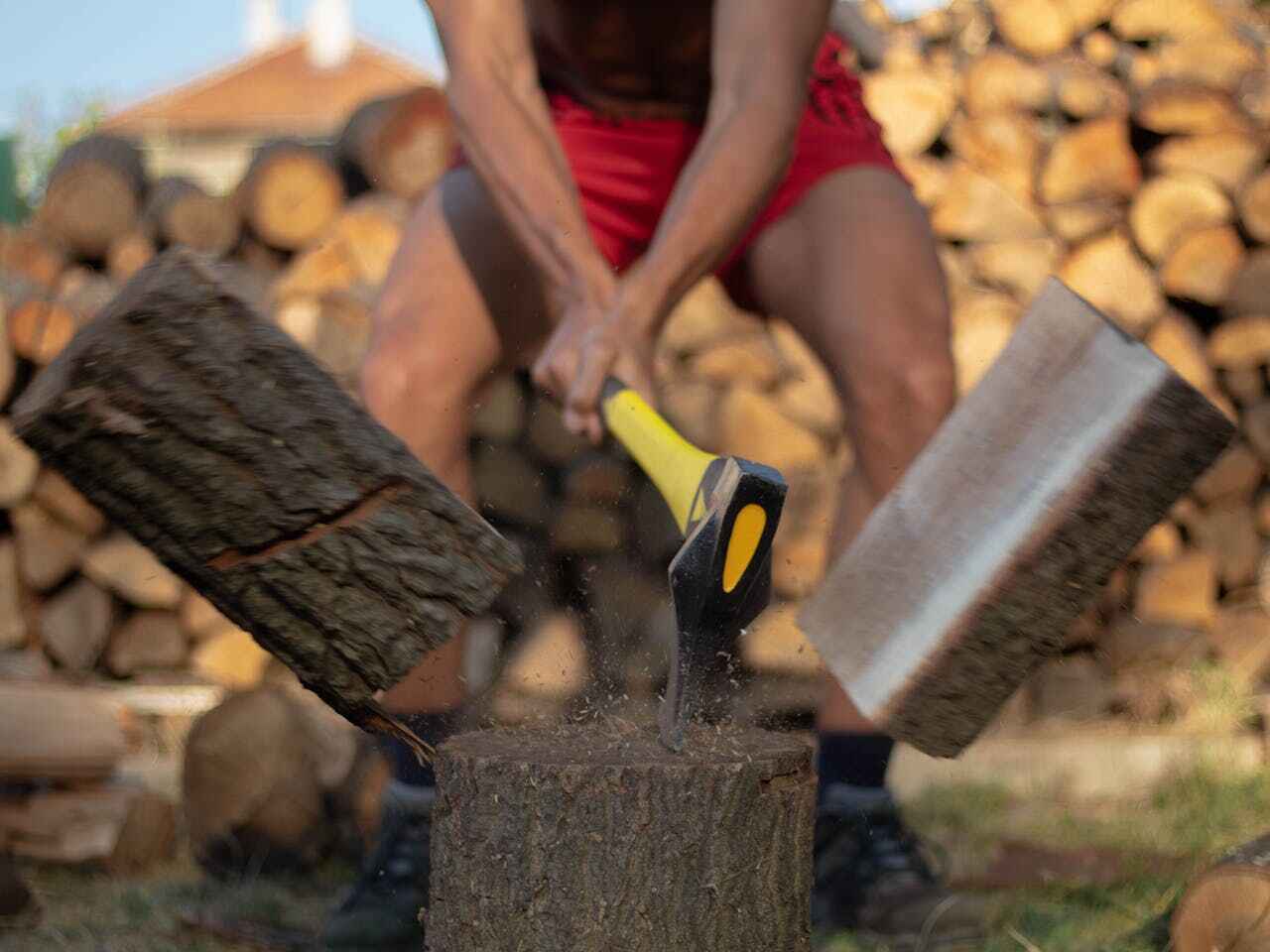 The Steps Involved in Our Tree Care Process in Flowery Branch, GA